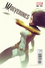 Wolverines-3-Variant-Cover